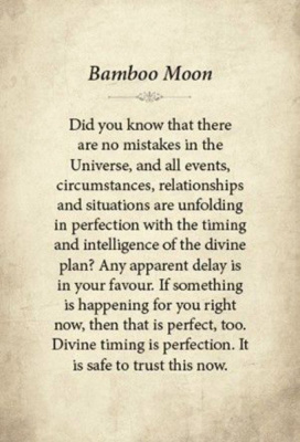 картинка Карты Таро "Kuan Yin Oracle" Blue Angel / Оракул Куан Инь от магазина Gamesdealer.ru