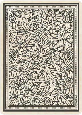 картинка Карты Таро "Rider Waite Playing Card Deck" US Games / Колода Карт Райдера-Уэйта для покера от магазина Gamesdealer.ru