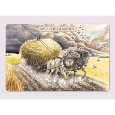 картинка Карты Таро "Pastoral Tarot Deck" US Games / Пасторальная колода Таро от магазина Gamesdealer.ru