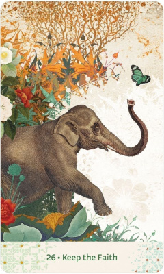 картинка Карты Таро "Wisdom of Hafiz Oracle Deck" US Games / Оракул Мудрости Хафиза от магазина Gamesdealer.ru