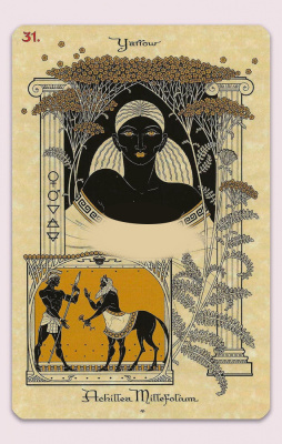 картинка Карты Таро "The Magickal Botanical Oracle" Lo Scarabeo / Волшебный Ботанический Оракул от магазина Gamesdealer.ru