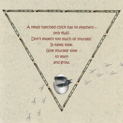 картинка Карты Таро "Raven Cards" AGM Urania / Карты Ворона от магазина Gamesdealer.ru