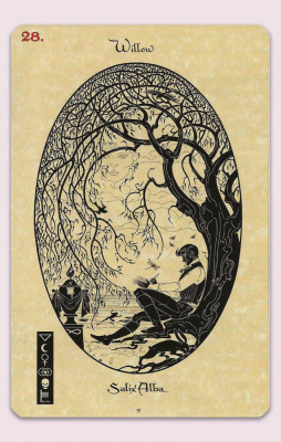 картинка Карты Таро "The Magickal Botanical Oracle" Lo Scarabeo / Волшебный Ботанический Оракул от магазина Gamesdealer.ru