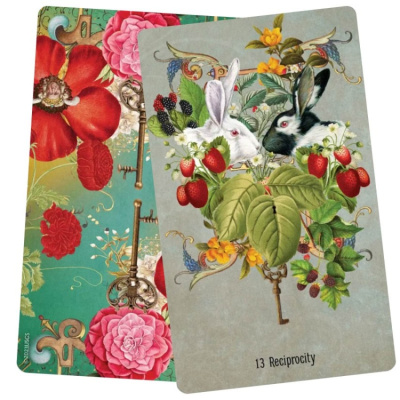 картинка Карты Таро "Unlocking the Secret Garden Oracle cards" US Games / Карты оракула Тайного сада  от магазина Gamesdealer.ru