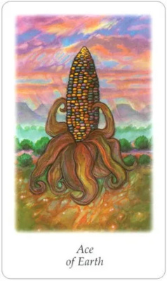 картинка Карты Таро "Vision Quest French" AGM Urania, Бельгия / Таро "Поиск Видений" от магазина Gamesdealer.ru