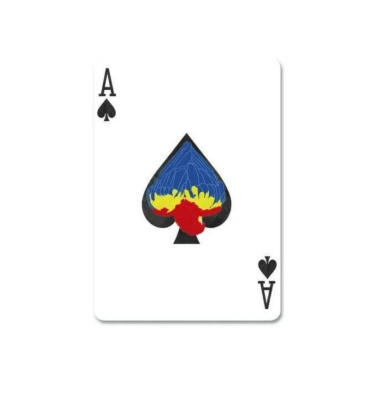 картинка Карты "Infinity playing cards by D3PSY Standard index" от магазина Gamesdealer.ru