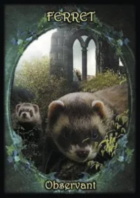 картинка Карты Таро "Witches Familiars Oracle Cards" Solarus / Ведьмы Фамильяры Карты Оракула от магазина Gamesdealer.ru