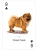 картинка Карты "Dogs of the Natural World Playing Cards" от магазина Gamesdealer.ru
