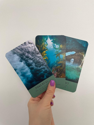 картинка Карты Таро "Sea Soul Journeys Oracle Cards" Welbeck Publishing / Путешествия Морской Души Карты Орак от магазина Gamesdealer.ru