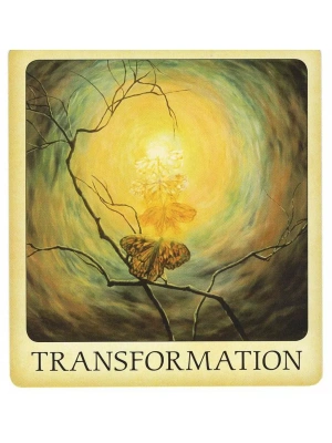 картинка Карты Таро "Messages From The Light Meditation Deck" US Games / Карты Послания Светлой Медитации от магазина Gamesdealer.ru