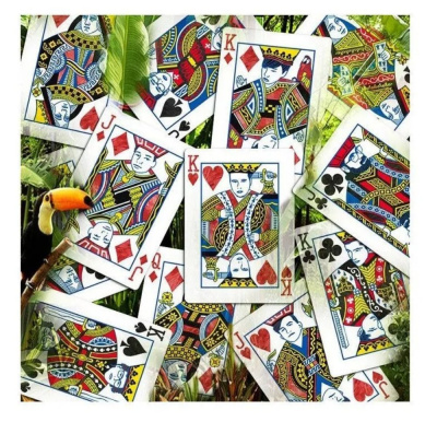 картинка Карты "Infinity playing cards by D3PSY Standard index" от магазина Gamesdealer.ru