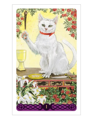 картинка Карты Таро "Pagan Cats Tarot mini" Lo Scarabeo / Мини Колода Языческих Кошек от магазина Gamesdealer.ru