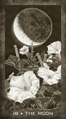 картинка Карты Таро "New Era Elements Tarot" US Games Systems / Колода Новой Эры от магазина Gamesdealer.ru