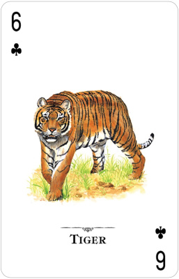 картинка Карты "Endangered Species of the Natural World Playing Cards" от магазина Gamesdealer.ru