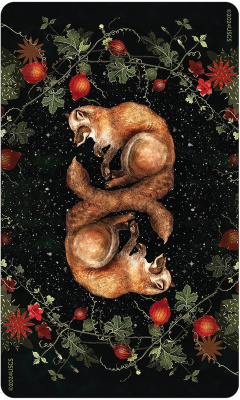 картинка Карты Таро "Dream Song Oracle" US Games / Оракул сонной песни от магазина Gamesdealer.ru