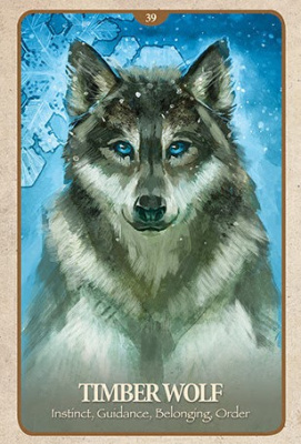 картинка Карты Таро "The Secret Language of Animals" Blue Angel / Тайный язык животных от магазина Gamesdealer.ru