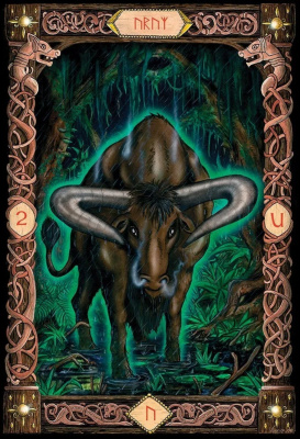 картинка Карты Таро "Power of Runes DK" US Games / Сила Рун от магазина Gamesdealer.ru