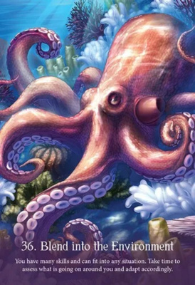 картинка Карты Таро "Whispers of The Ocean Oracle Cards" Blue Angel / Оракул Шепот Океана от магазина Gamesdealer.ru