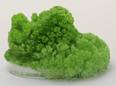 картинка СуперПрофессор "Кристаллические монстры" от магазина Gamesdealer.ru