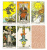картинка Карты Таро "A.E. Waite Tarot Premium Edition - Deluxe" AGM Urania / Таро А.Э. Уэйта Премиум-издание  от магазина Gamesdealer.ru