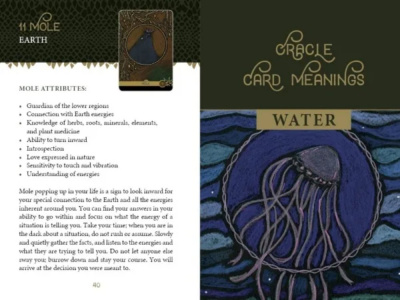 картинка Карты таро "The Wild Elemental Oracle" RED Feather / Оракул Дикой Стихии от магазина Gamesdealer.ru