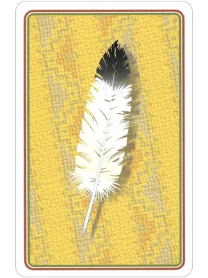 картинка Карты "Indian Chiefs of the Old West Game & Playing Cards" от магазина Gamesdealer.ru