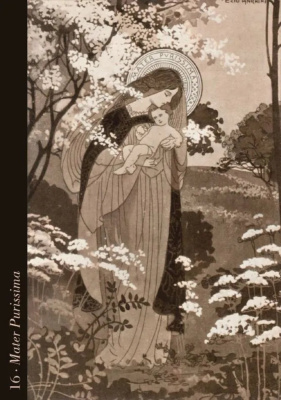 картинка Карты Таро "Divine Light Oracle Cards" Lo Scarabeo / Карты Оракула Божественного Света от магазина Gamesdealer.ru