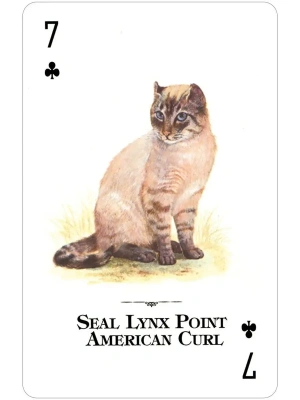 картинка Карты "Cats of the Natural World Playing Cards" магазин Gamesdealer.ru являющийся официальным дистрибьютором в России  картинка Карты "Cats of the Natural World Playing Cards" от магазина Gamesdealer.ru
