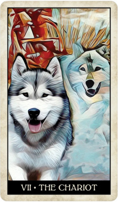 картинка Карты Таро "Wise Dog Tarot" US Games / Таро Мудрой Собаки от магазина Gamesdealer.ru
