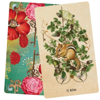 картинка Карты Таро "Unlocking the Secret Garden Oracle cards" US Games / Карты оракула Тайного сада  от магазина Gamesdealer.ru