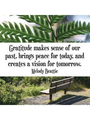 картинка Карты Таро "Thank You Notes" US Games / Благодарственные Записки от магазина Gamesdealer.ru