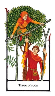 картинка Карты Таро "Old Path Tarot" AGM Urania / Таро Старого Пути от магазина Gamesdealer.ru