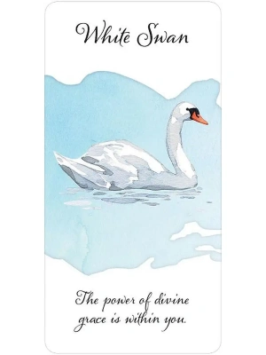 картинка Карты Таро "Divine Feather Messenger" US Games / Посланник Божественного Пера от магазина Gamesdealer.ru