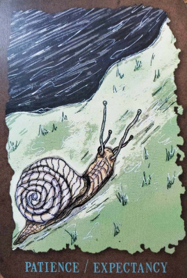 картинка Карты Таро "The Everglow Tarot" Schiffer Publishing / Вечное свечение от магазина Gamesdealer.ru