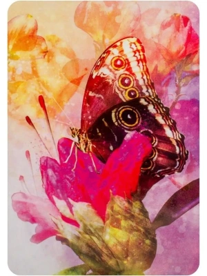 картинка Карты Таро "Butterfly Affirmations" Blue Angel / Аффирмация Бабочек от магазина Gamesdealer.ru