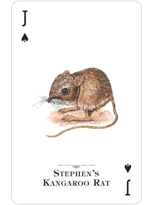 картинка Карты "Endangered Species of the Natural World Playing Cards" от магазина Gamesdealer.ru