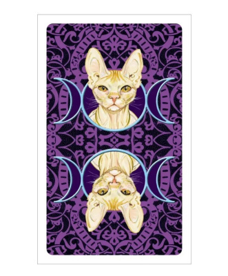 картинка Карты Таро "Pagan Cats Tarot mini" Lo Scarabeo / Мини Колода Языческих Кошек от магазина Gamesdealer.ru