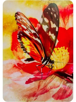 картинка Карты Таро "Butterfly Affirmations" Blue Angel / Аффирмация Бабочек от магазина Gamesdealer.ru