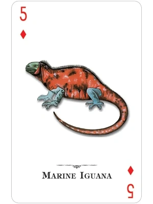 картинка Карты "Reptiles & Amphibians of the Natural World Playing Cards" от магазина Gamesdealer.ru