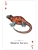 картинка Карты "Reptiles & Amphibians of the Natural World Playing Cards" от магазина Gamesdealer.ru
