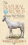 картинка Карты "Horses of the Natural World Playing Cards" от магазина Gamesdealer.ru