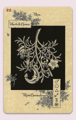 картинка Карты Таро "The Magickal Botanical Oracle" Lo Scarabeo / Волшебный Ботанический Оракул от магазина Gamesdealer.ru