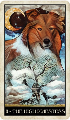 картинка Карты Таро "Wise Dog Tarot" US Games / Таро Мудрой Собаки от магазина Gamesdealer.ru