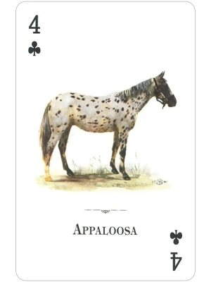 картинка Карты "Horses of the Natural World Playing Cards" от магазина Gamesdealer.ru