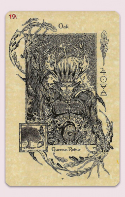 картинка Карты Таро "The Magickal Botanical Oracle" Lo Scarabeo / Волшебный Ботанический Оракул от магазина Gamesdealer.ru