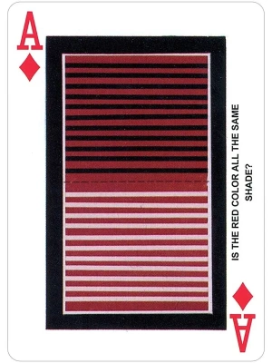 картинка Карты "Can you Believe Your Eyes?" от магазина Gamesdealer.ru