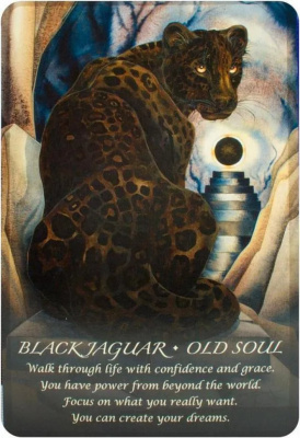 картинка Карты Таро "Spirit of the Animals" US Games / Духи Животных от магазина Gamesdealer.ru