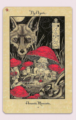 картинка Карты Таро "The Magickal Botanical Oracle" Lo Scarabeo / Волшебный Ботанический Оракул от магазина Gamesdealer.ru