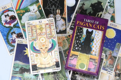 картинка Карты Таро "Pagan Cats Tarot mini" Reprint / Мини Колода Языческих Кошек TAROMANIA от магазина Gamesdealer.ru