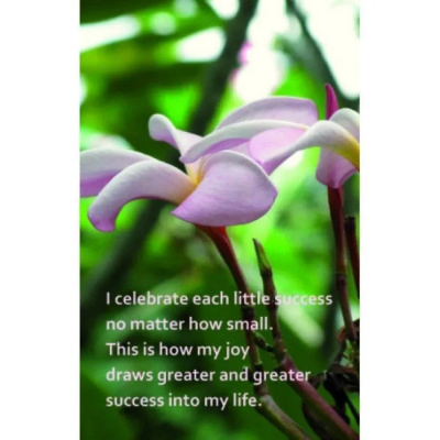 картинка Карты Таро "The Secret of Succsessful Wishing" AGM Urania / Секрет Успеха Карт Желаний от магазина Gamesdealer.ru